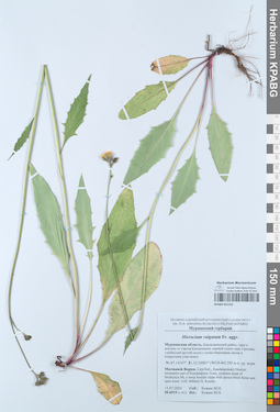 KPABG051151