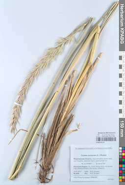 KPABG051161
