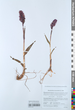 KPABG051168
