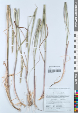 KPABG051171