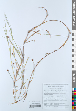 KPABG051186