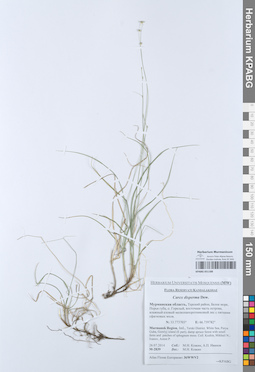 KPABG051188
