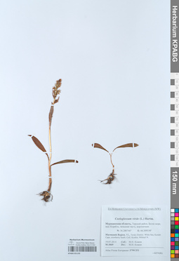 KPABG051195
