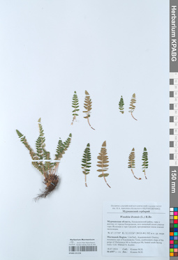 KPABG051228