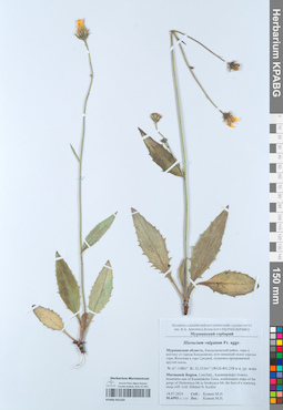 KPABG051233