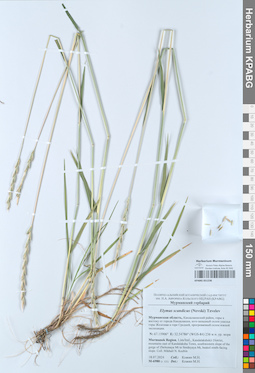 KPABG051236