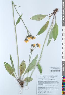 KPABG051239