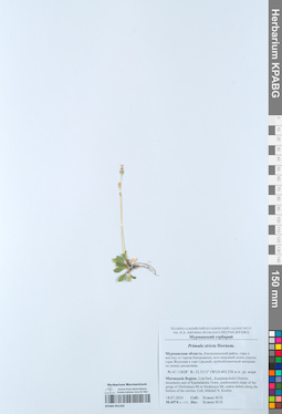 KPABG051242