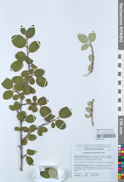 KPABG051328