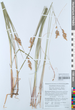 KPABG051332