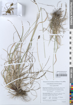 KPABG051333
