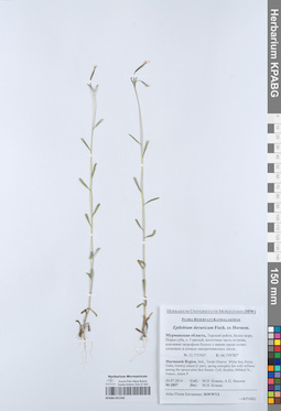 KPABG051342