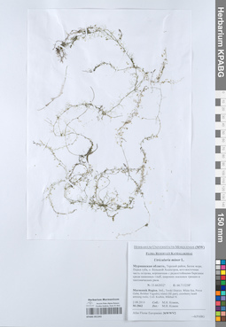 KPABG051343