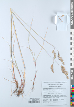 KPABG051345