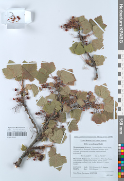 KPABG051348