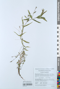 KPABG051352