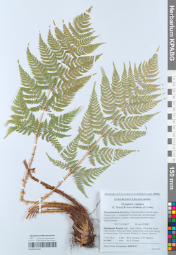 KPABG051354