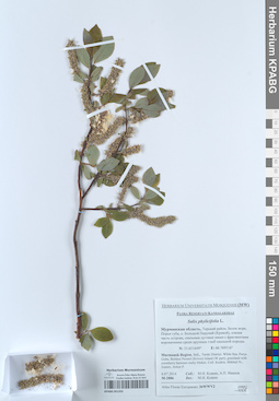 KPABG051355