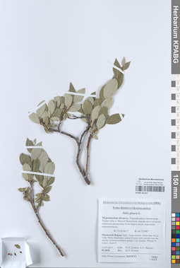 KPABG051357