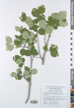 KPABG050054