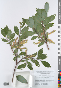 KPABG050057