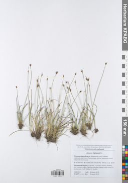 KPABG050059