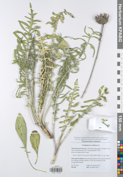 KPABG050068