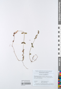 KPABG050130