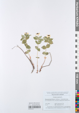 KPABG050134
