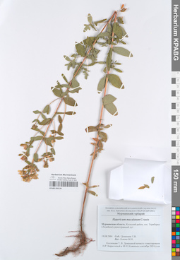KPABG050139