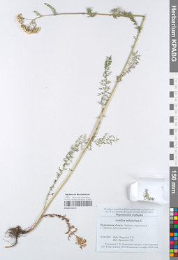 KPABG050140
