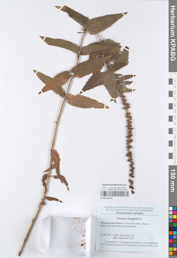 KPABG050143
