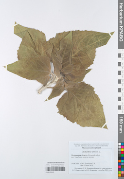 KPABG050145