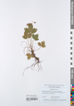KPABG050156