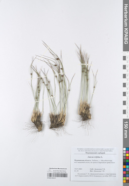 KPABG050157