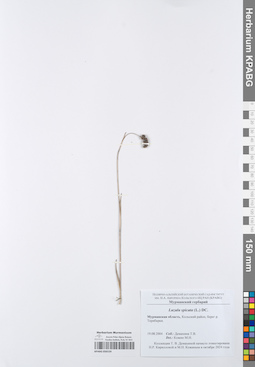 KPABG050159