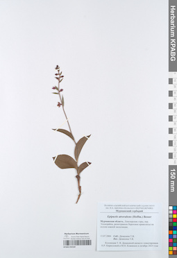 KPABG050160