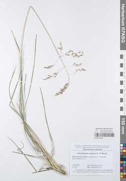 KPABG050163