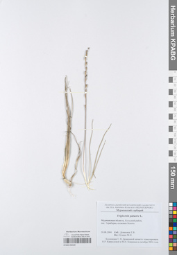 KPABG050169