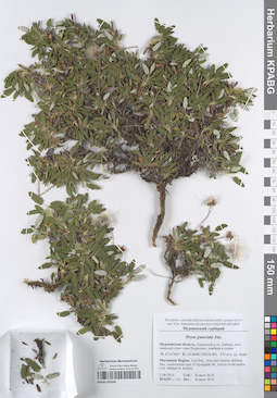 KPABG050206