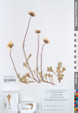 KPABG050208