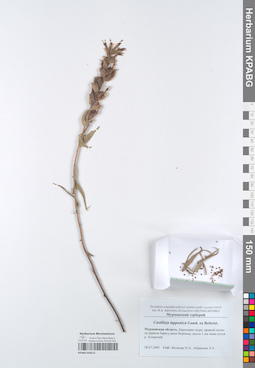 KPABG050212