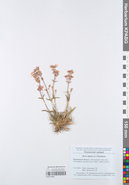 KPABG050229