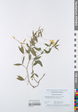 KPABG050230