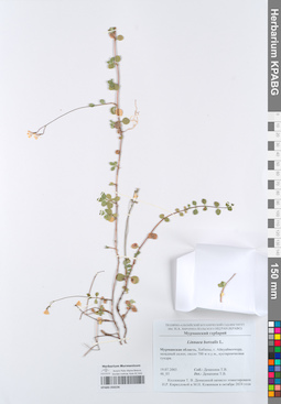 KPABG050236