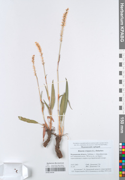 KPABG050238