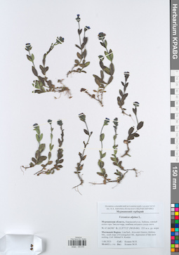KPABG045076