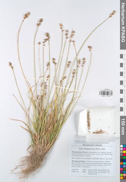 KPABG047461