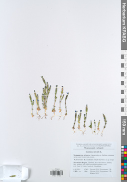 KPABG047494