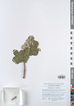 KPABG047586